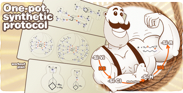 Graphical abstract: Tricky but repeatable synthetic approach to branched, multifunctional silsesquioxane dendrimer derivatives