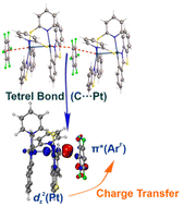 Graphical abstract: Metal-involved C⋯dz2-PtII tetrel bonding as a principal component of the stacking interaction between arenes and the platinum(ii) square-plane