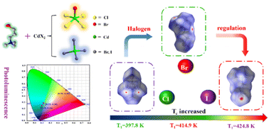 Graphical abstract: Halogenation triggering rules in hybrid materials for fluorescence and dielectric phase transitions