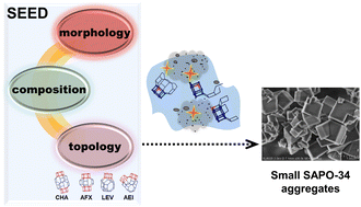 Graphical abstract: Insights on the seed selection criteria of SAPO-34 synthesis: structural units and their chemical microenvironment