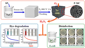 Graphical abstract: Phosphorus doped hierarchical porous carbon: an efficient oxygen reduction electrocatalyst for on-site H2O2 production