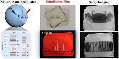 Graphical abstract: Enhanced radioluminescence of NaLuF4:Eu3+ nanoscintillators by terbium sensitization for X-ray imaging