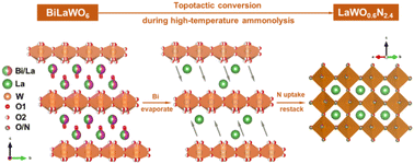 Graphical abstract: Photocatalytic water oxidation over LaWO0.6N2.4 mesoporous single crystals under visible and near-infrared light illumination