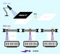 Graphical abstract: Bi3+/Sm3+ co-doped LiTaO3 photochromic perovskites: an ultrafast erasable optical information storage medium