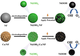 Graphical abstract: A copper interface promotes the transformation of nickel hydroxide into high-valent nickel for an efficient oxygen evolution reaction