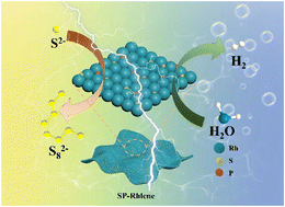 Graphical abstract: Electronic and active site engineering in Rh metallene via phosphorus and sulfur dual-doping for electrocatalytic sulfion recycling and hydrogen generation