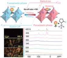 Graphical abstract: Fast rotating dipole array inducing large dielectric response in a Ruddlesden–Popper hybrid perovskite ferroelastic