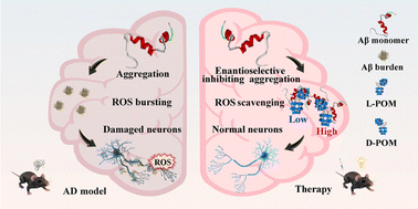 Graphical abstract: Enantioselective modulation of amyloid burden and memory deficits by chiral polyoxometalates for Alzheimer's disease treatment