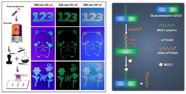 Graphical abstract: Dual-emissive persistent luminescent phosphors for multi-mode anti-counterfeiting and ratiometric luminescent aptasensors