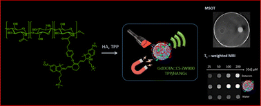 Graphical abstract: Multimodal nanogels combining ZW800-1 as an optical absorber and gadolinium chelates for multispectral optoacoustic tomography (MSOT) and magnetic resonance imaging (MRI)