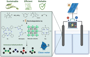 Graphical abstract: Molecular inspired electrocatalyst materials for environmental remediation