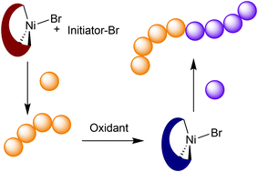 Graphical abstract: Application of a ferrocene-chelating heteroscorpionate ligand in nickel mediated radical polymerization