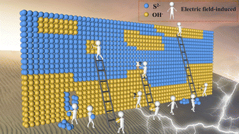 Graphical abstract: Electric field-induced ball-cactus-like CuCo2Sx(OH)y nano-heterostructure towards high-performance supercapacitors