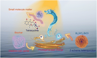 Graphical abstract: Electron-rich biochar enhanced Z-scheme heterojunctioned bismuth tungstate/bismuth oxyiodide removing tetracycline