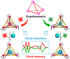 Graphical abstract: Controllable chiral memory in an anion tetrahedral cage