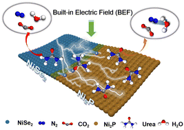 Graphical abstract: Built-in electric field induced interfacial charge distributions of Ni2P/NiSe2 heterojunction for urea-assisted hydrogen evolution reaction