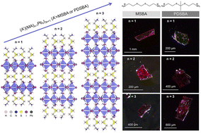 Graphical abstract: Reduced-dimensional perovskites with dithioketal-containing intercalating cations for near-infrared light-emitting diodes