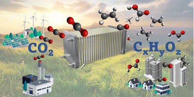 Graphical abstract: Recent advances in electrocatalytic reduction of ambient CO2 toward high-value feedstock