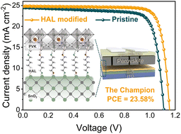 Graphical abstract: Enhanced performance of perovskite solar cells via a bilateral electron-donating passivator as a molecule bridge