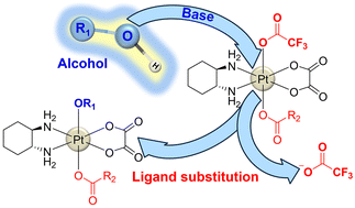 Graphical abstract: Ligand substitution reactions afford oxaliplatin-based platinum(iv) complexes bearing axial alkoxido ligands