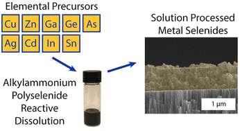 Graphical abstract: A selenium-based “alkahest”: reactive dissolutions of metals and metal compounds with n-alkylammonium polyselenide solutions