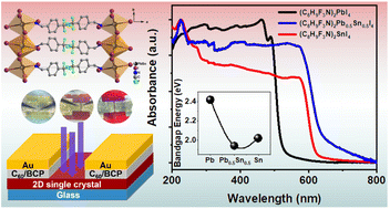 Graphical abstract: Centimeter-sized novel two-dimensional organic lead–tin mixed iodide single crystals for efficient photodetector applications