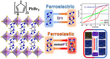 Graphical abstract: Molecular orientation dynamics triggers ferroelectricity and ferroelasticity in an organic–inorganic halide material