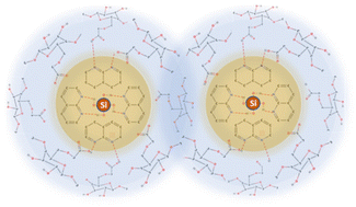 Graphical abstract: Modified polyacrylonitrile cross-linked with carboxymethyl cellulose constructing a hydrogen bonding network for high-performance silicon anodes