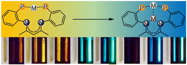 Graphical abstract: Cooperativity in luminescent heterobimetallic diphosphine-β-diketiminate complexes