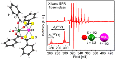 Graphical abstract: Quantum spin coherence and electron spin distribution channels in vanadyl-containing lantern complexes