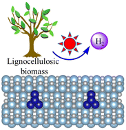 Graphical abstract: Boosted charge transfer in Pt cluster anchored TiO2 microspheres with rich oxygen vacancies for solar driven H2 production from lignocellulosic biomass