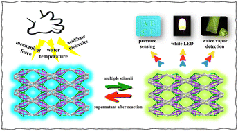 Graphical abstract: Multi-stimulus responsive properties of a Cd-MOF based on tetraphenylethylene