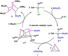 Graphical abstract: A rare-earth-mediated conversion of white phosphorus into PBn3 and highly functionalized norbornane-P7