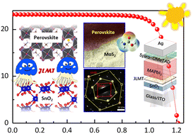 Graphical abstract: Manipulating the crystallization and interfacial charge behavior with a jellyfish-like molecular template for efficient perovskite solar cells