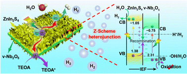 Graphical abstract: Enwrapping ZnIn2S4 on vacancy-rich Nb2O5 nanoplates for enhanced photocatalytic hydrogen evolution