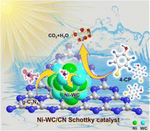 Graphical abstract: A photocatalyst with an enhanced Schottky effect and an efficient electron-transfer channel fabricated by assembling Ni–WC heterojunction nanoparticles on g-C3N4 for highly efficient removal of chlorophenols