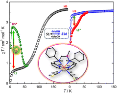 Graphical abstract: Solvated/desolvated homochiral Fe(ii) complexes showing distinct bidirectional photo-switching due to a hidden state