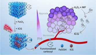 Graphical abstract: A novel multi-carboxyl functionalized MOF platform for effective photodynamic therapy with hypoxia modulation based on prominent self-oxygen generation