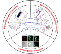 Graphical abstract: Exploring multi-stimuli-responsive Pt(ii) complexes: supramolecular self-assembly, lysosome-specific targeted photodynamic therapy and photodegradation of organic pollutants