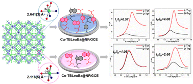 Graphical abstract: Isostructural chiral metal–organic frameworks with metal-regulated performances for electrochemical enantiomeric recognition of tyrosine and tryptophan