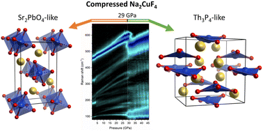 Graphical abstract: A high-pressure phase of Na2CuF4 with eight-coordinated Cu2+ – a low-pressure analogue of Mg2SiO4