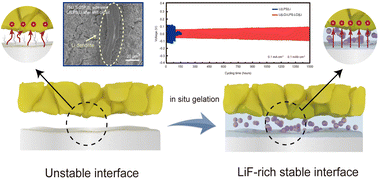 Graphical abstract: Fast and stable charge transfer at the lithium–sulfide (electrolyte) interface via an in situ solidified Li+-conductive interlayer