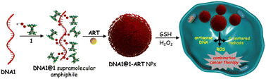 Graphical abstract: Tumor microenvironment responsive nanocarriers for efficient antisense DNA delivery and enhanced chemodynamic therapy