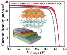 Graphical abstract: Interlayer engineering via alkaline hypophosphates for efficient and air-stable perovskite solar cells