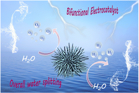 Graphical abstract: Electron-transfer enhancement of urchin-like CoP–Ce2(CO3)2O/NF as an ultra-stable bifunctional catalyst for efficient overall water splitting
