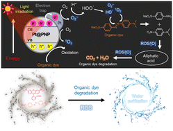 Graphical abstract: A post-synthetically modified porous organic polymer for photocatalytic water purification