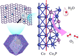 Graphical abstract: Engineering a Co/Co2P Mott–Schottky heterostructure encased in a hollow N-doped carbon polyhedron as an advanced nanoreactor towards high-efficiency electrocatalytic oxygen evolution