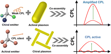 Graphical abstract: Plasmon-coupled circularly polarized luminescence: generation and enhancement