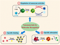 Graphical abstract: Nanomaterials for molecular recognition: specific adsorption and regulation of nanozyme activities