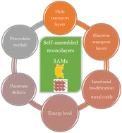 Graphical abstract: Towards cost-efficient and stable perovskite solar cells and modules: utilization of self-assembled monolayers